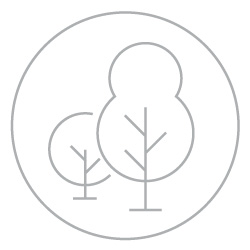 Icon für botanischer Ursprung